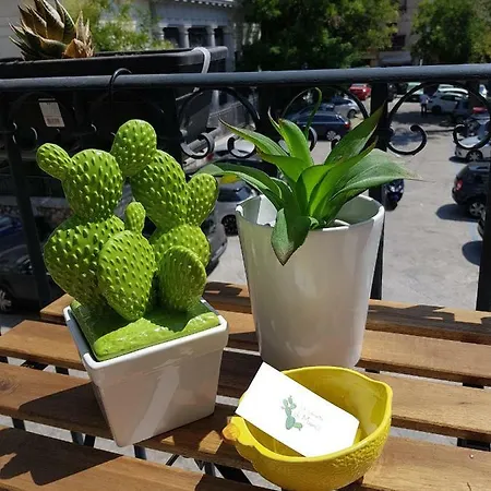 Le Casette Di Marci