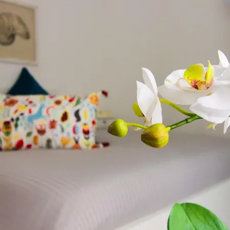 Le Casette Di Marci *