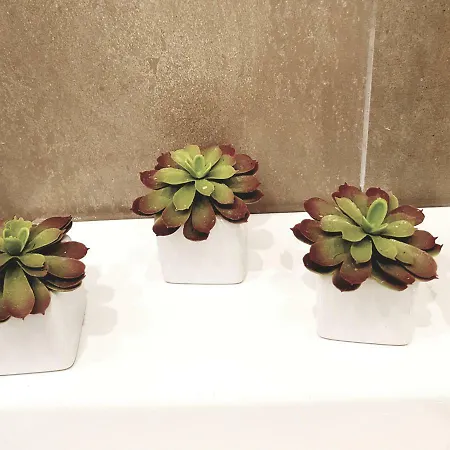 Le Casette Di Marci * Palermo