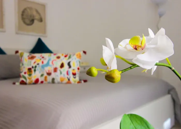 Le Casette Di Marci *